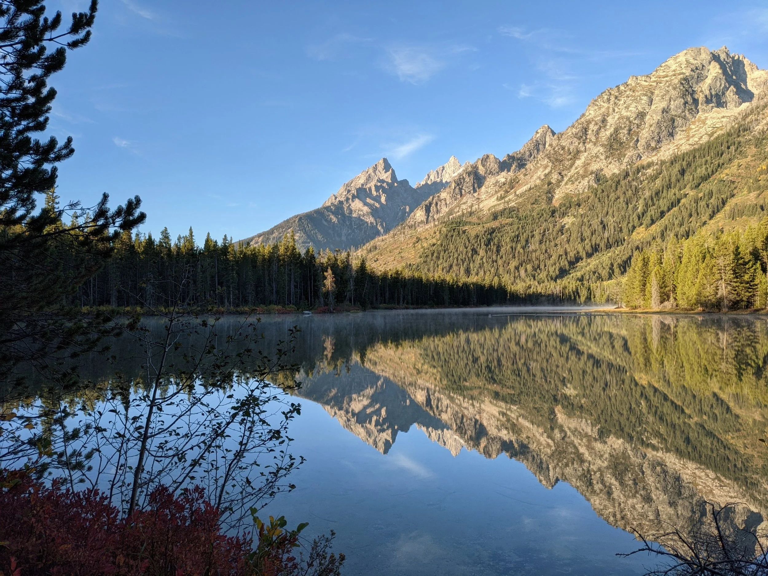 Teton trees and lake